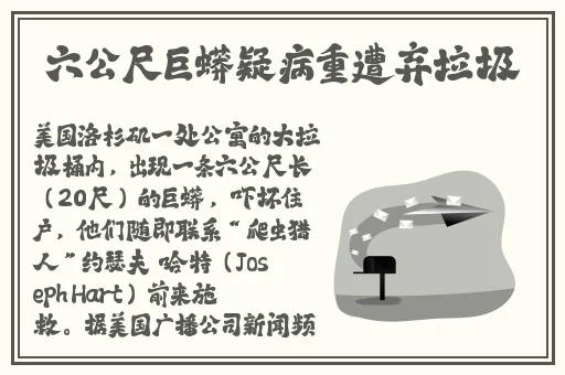 男人的天堂秋葵视频